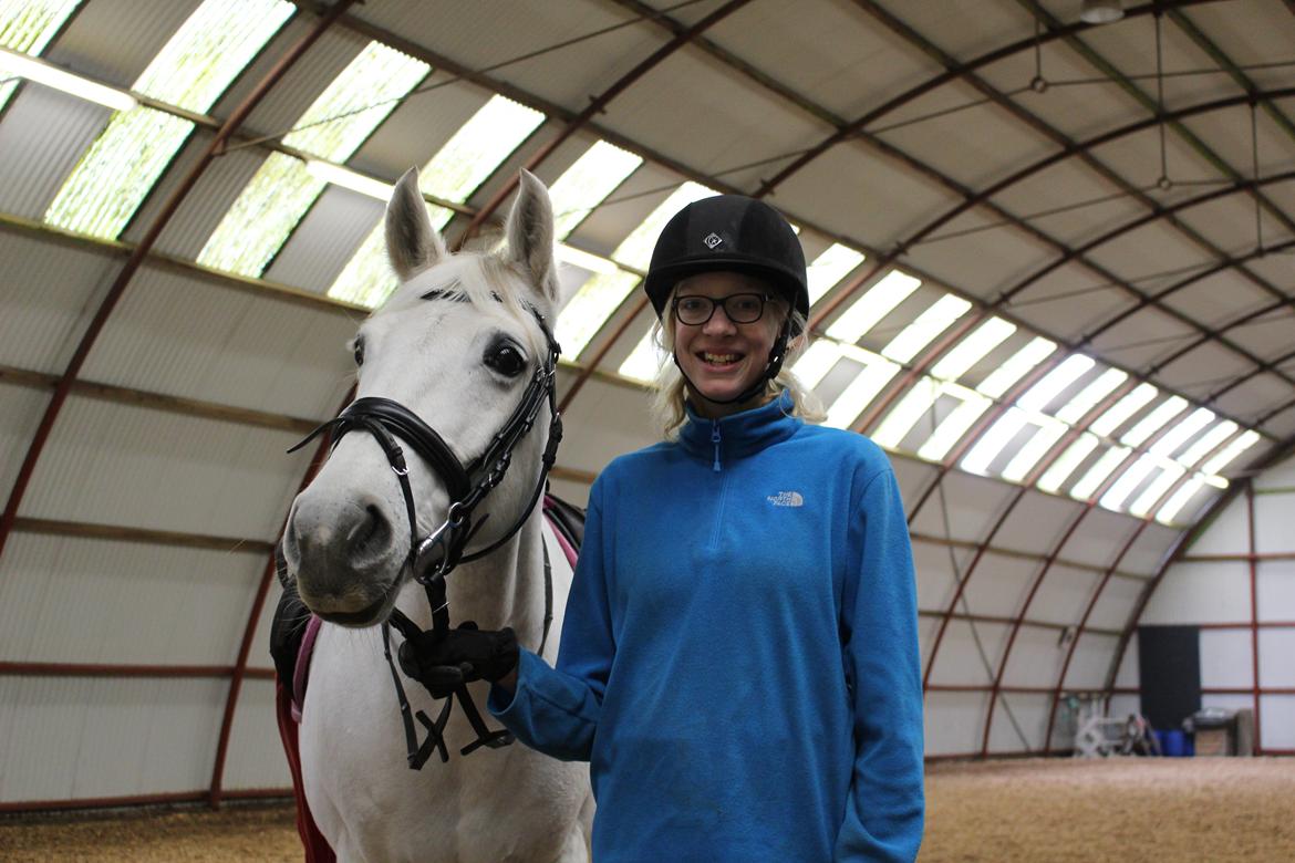 Dansk Varmblod Stella - Velkommen til Stellas profil. <3 billede 1