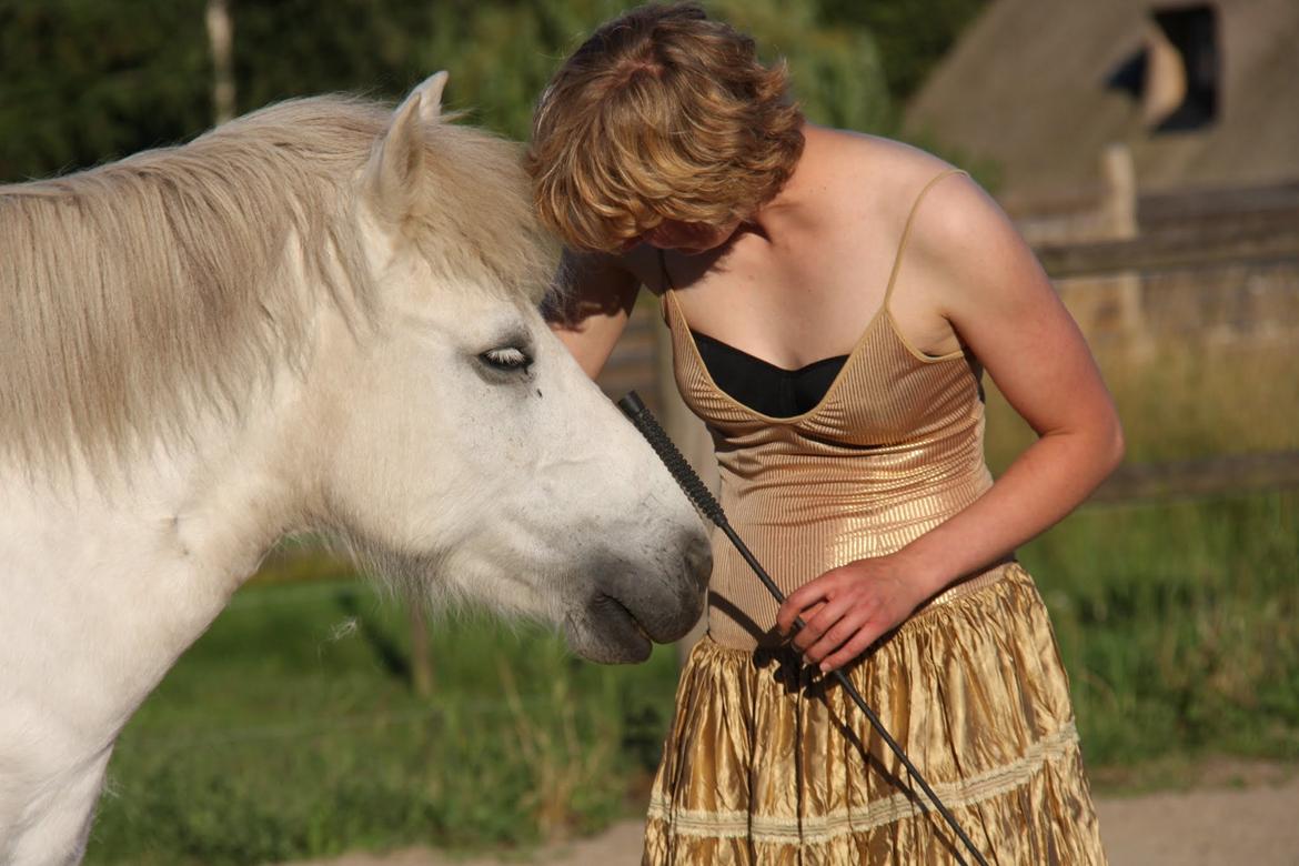 Islænder Hlín fra Helgenæs<3 - My girl <3 Foto: AJM 09.08.15 billede 2