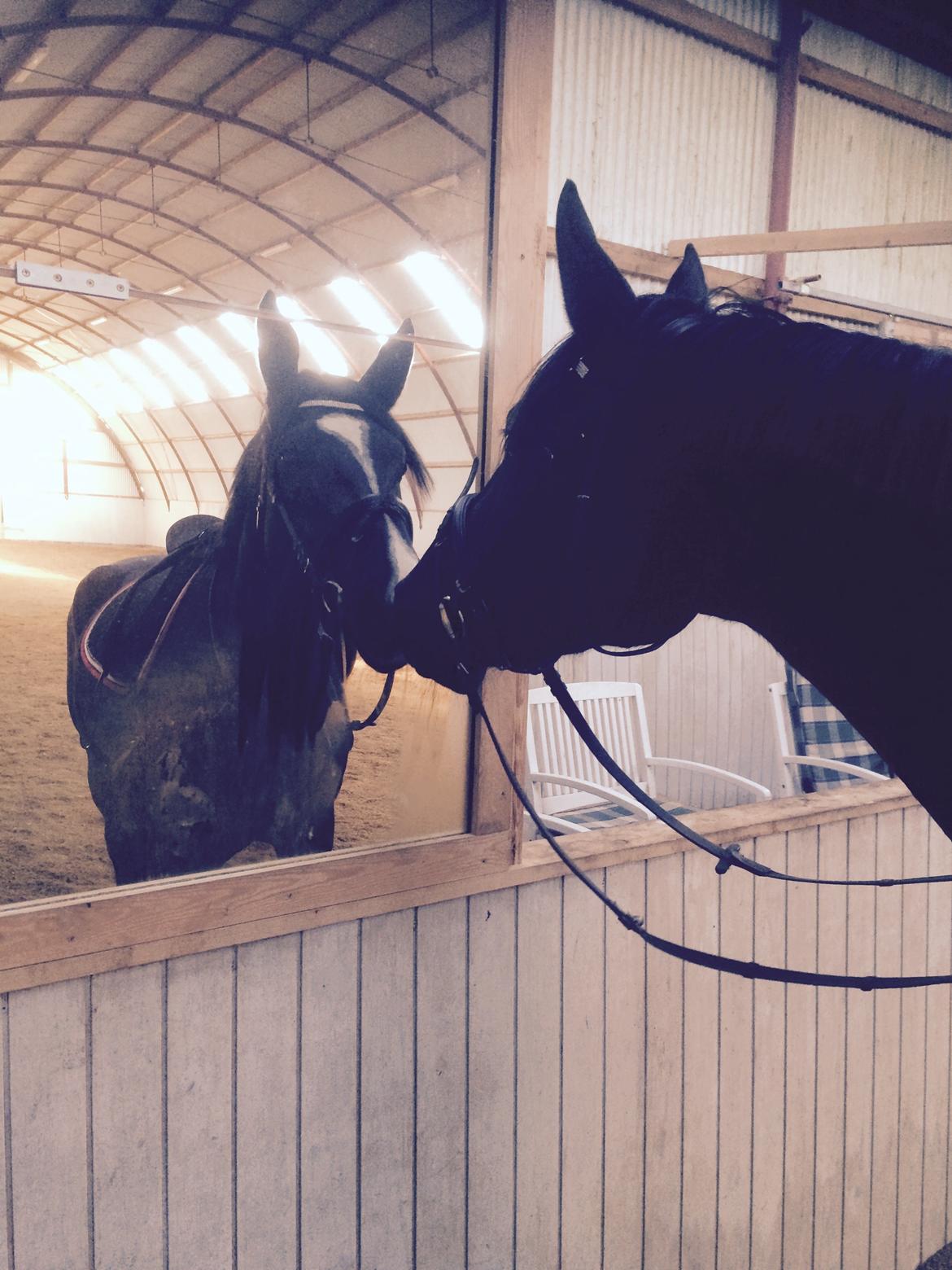 Oldenborg Gaya Hedegaard billede 14