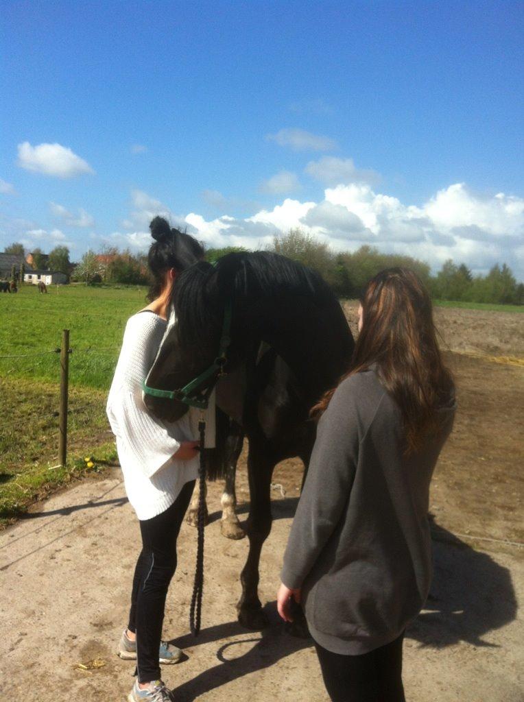 Oldenborg Gaya Hedegaard billede 17