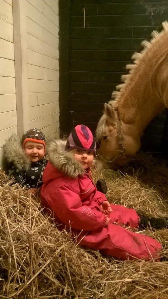 Fjordhest Shavanna  - Alex og Eline hygger med Shavanna <3 billede 7