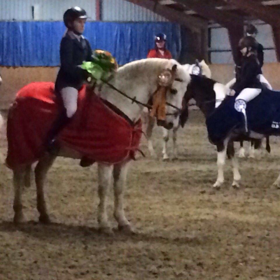 Connemara Moyspring billede 13