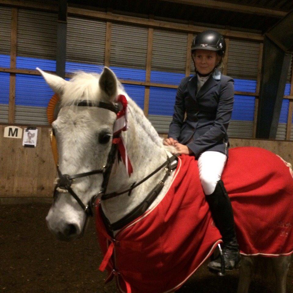 Connemara Moyspring billede 14