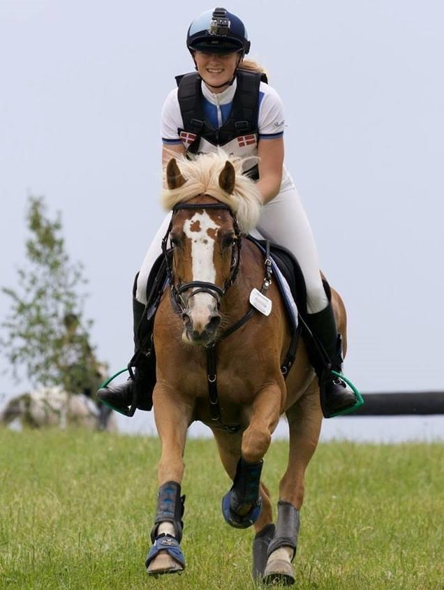 Anden særlig race Maggie Stensbæk | military A-PONY billede 15