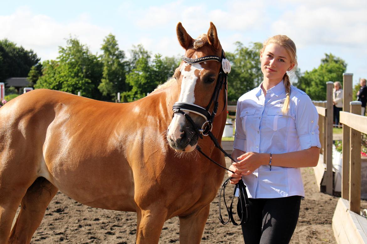 Anden særlig race Maggie Stensbæk | military A-PONY billede 3