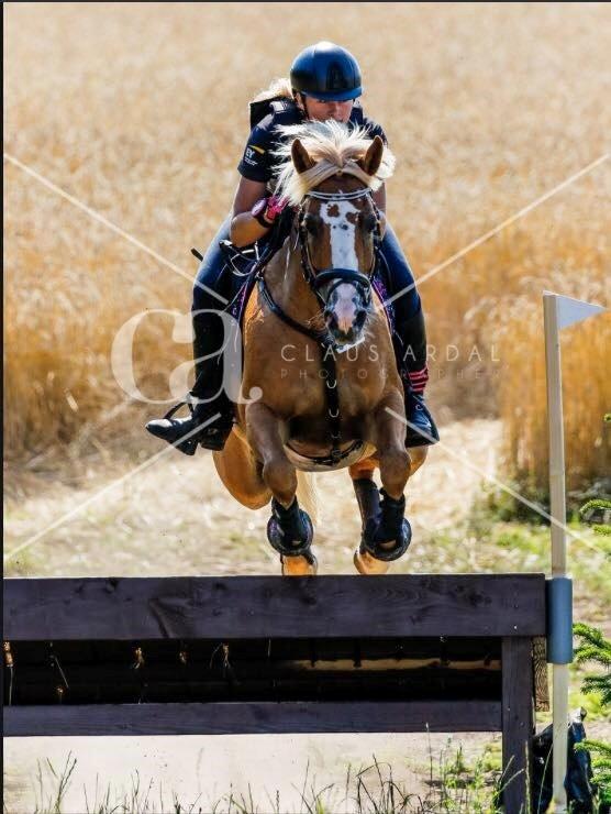 Anden særlig race Maggie Stensbæk | military A-PONY billede 10