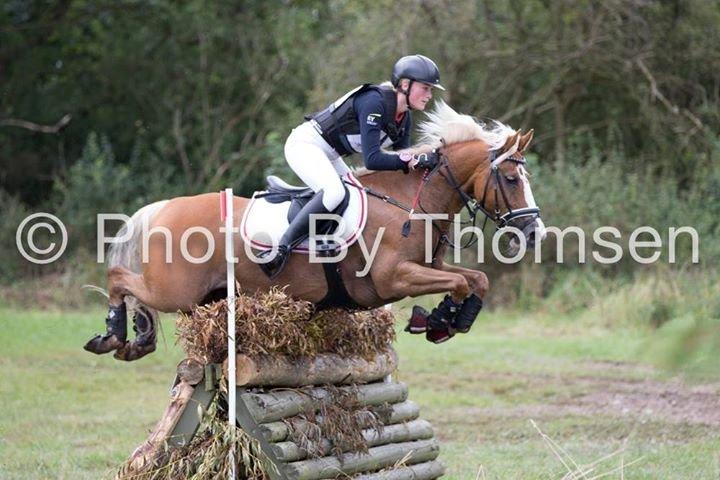 Anden særlig race Maggie Stensbæk | military A-PONY billede 12