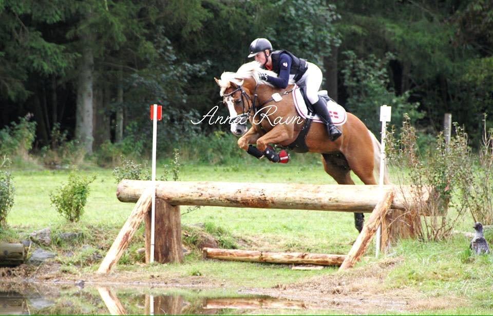 Anden særlig race Maggie Stensbæk | military A-PONY billede 9