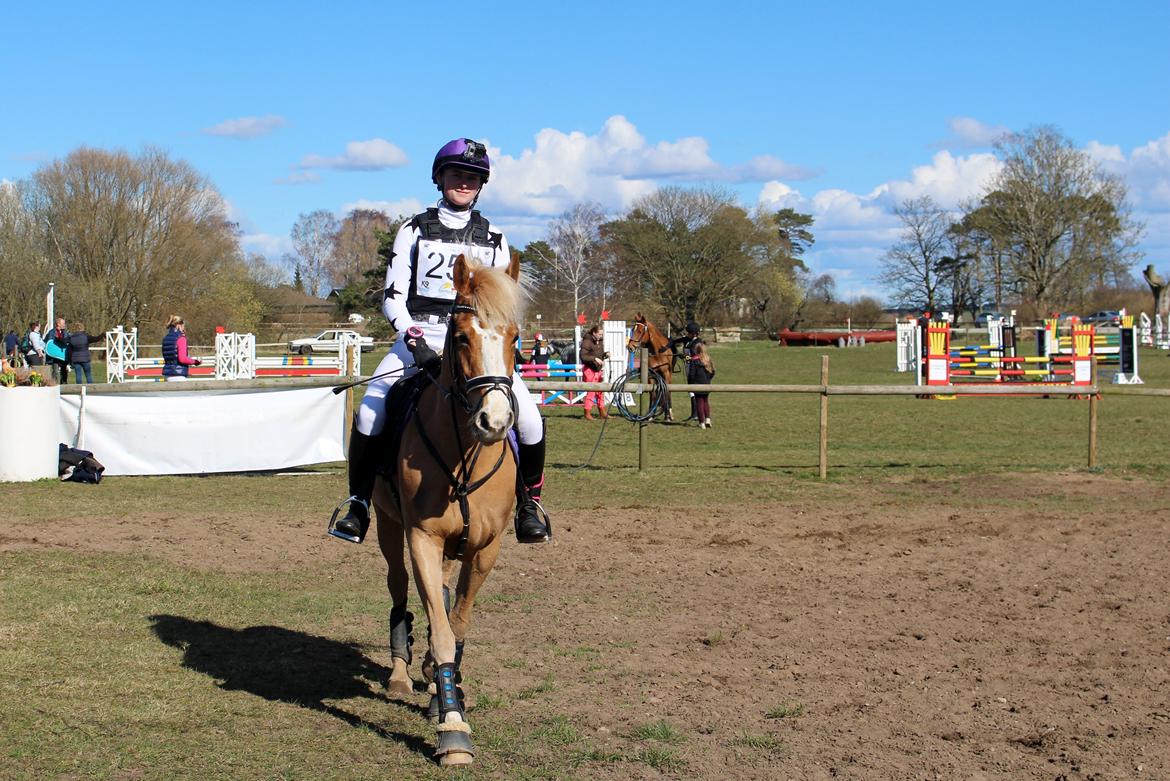 Anden særlig race Maggie Stensbæk | military A-PONY billede 11