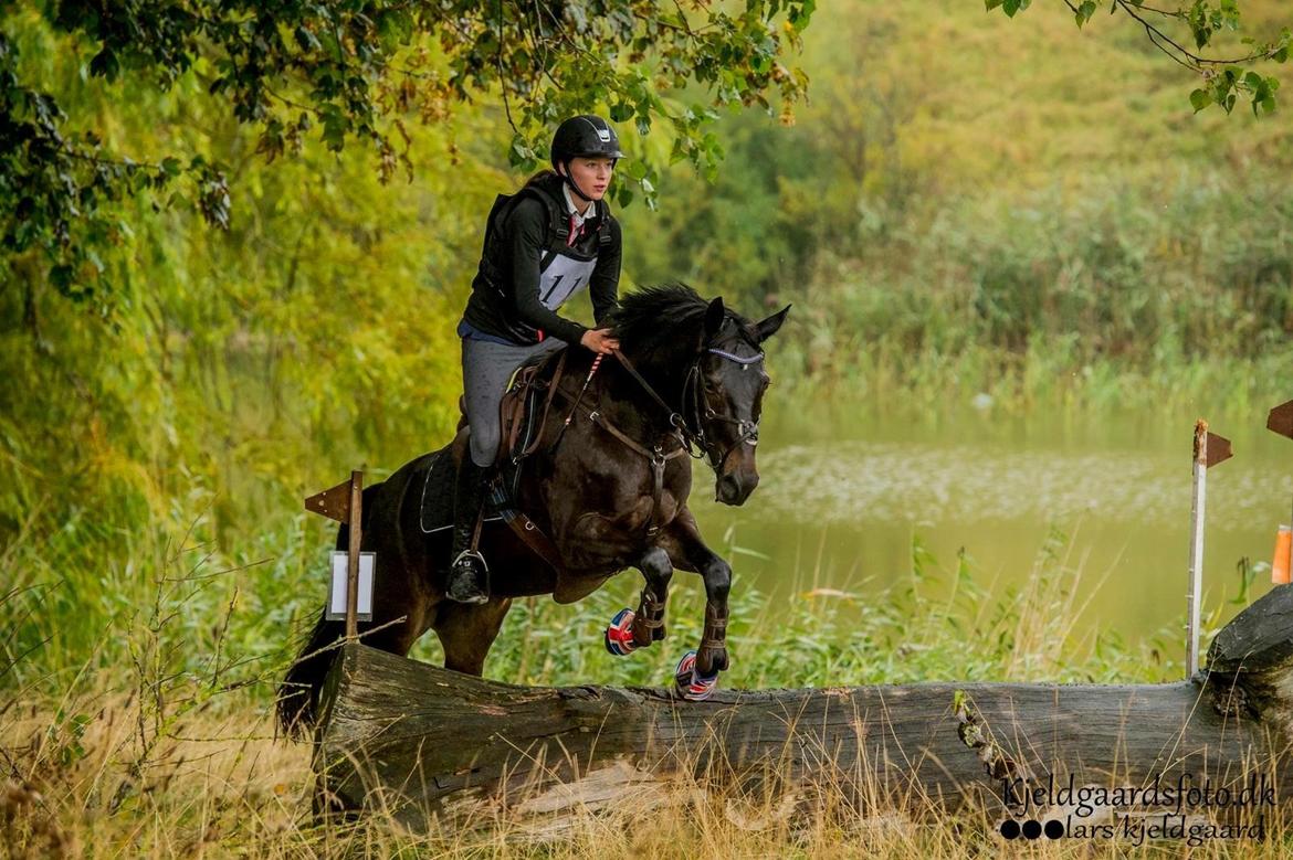 DSP Samara billede 1