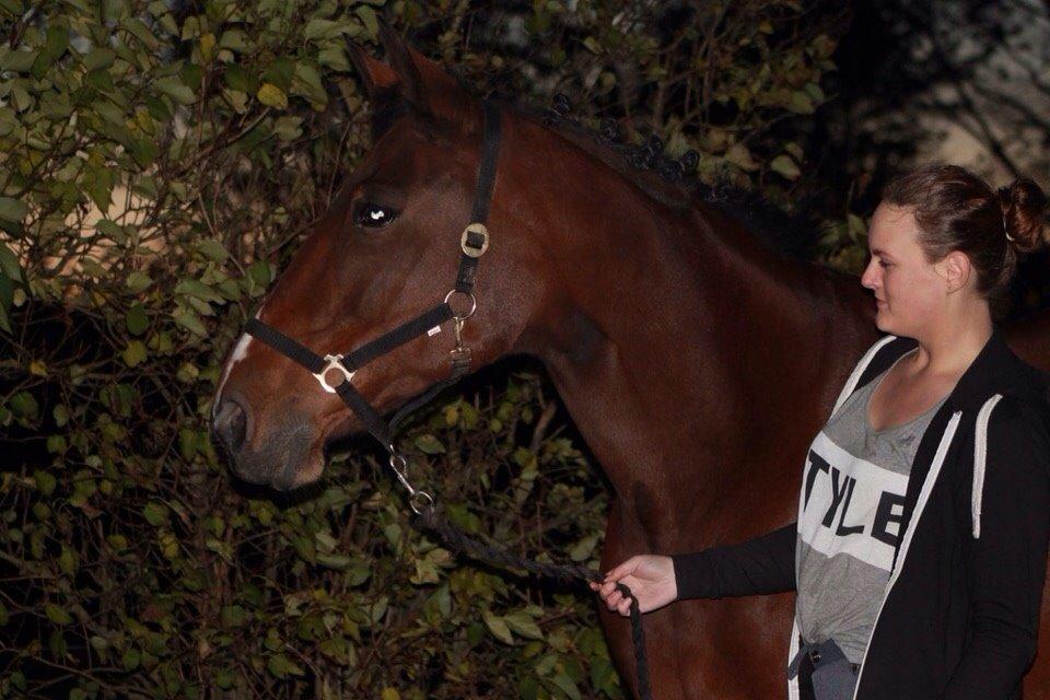 Traver Quiz billede 13