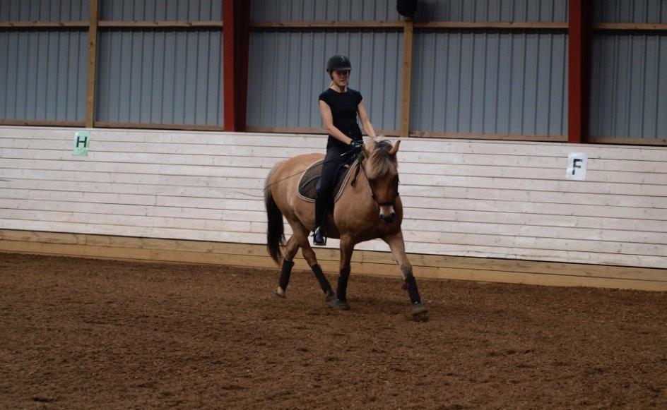 Anden særlig race Tøsne billede 7