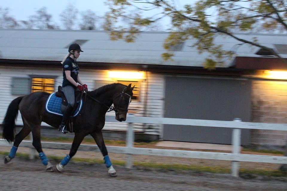 Anden særlig race Jamie (fedtmule) billede 2