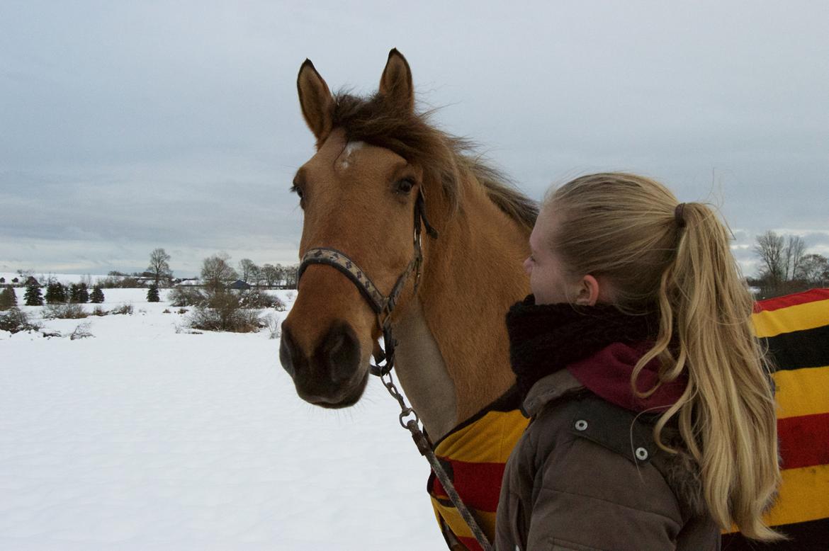 Anden særlig race Attilla - Her har jeg lige fået ham i hænderne, endelig hjemme <3 billede 1