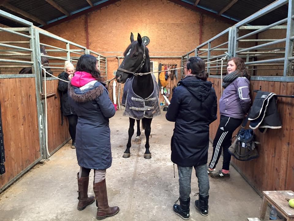 Anden særlig race Josephine billede 9