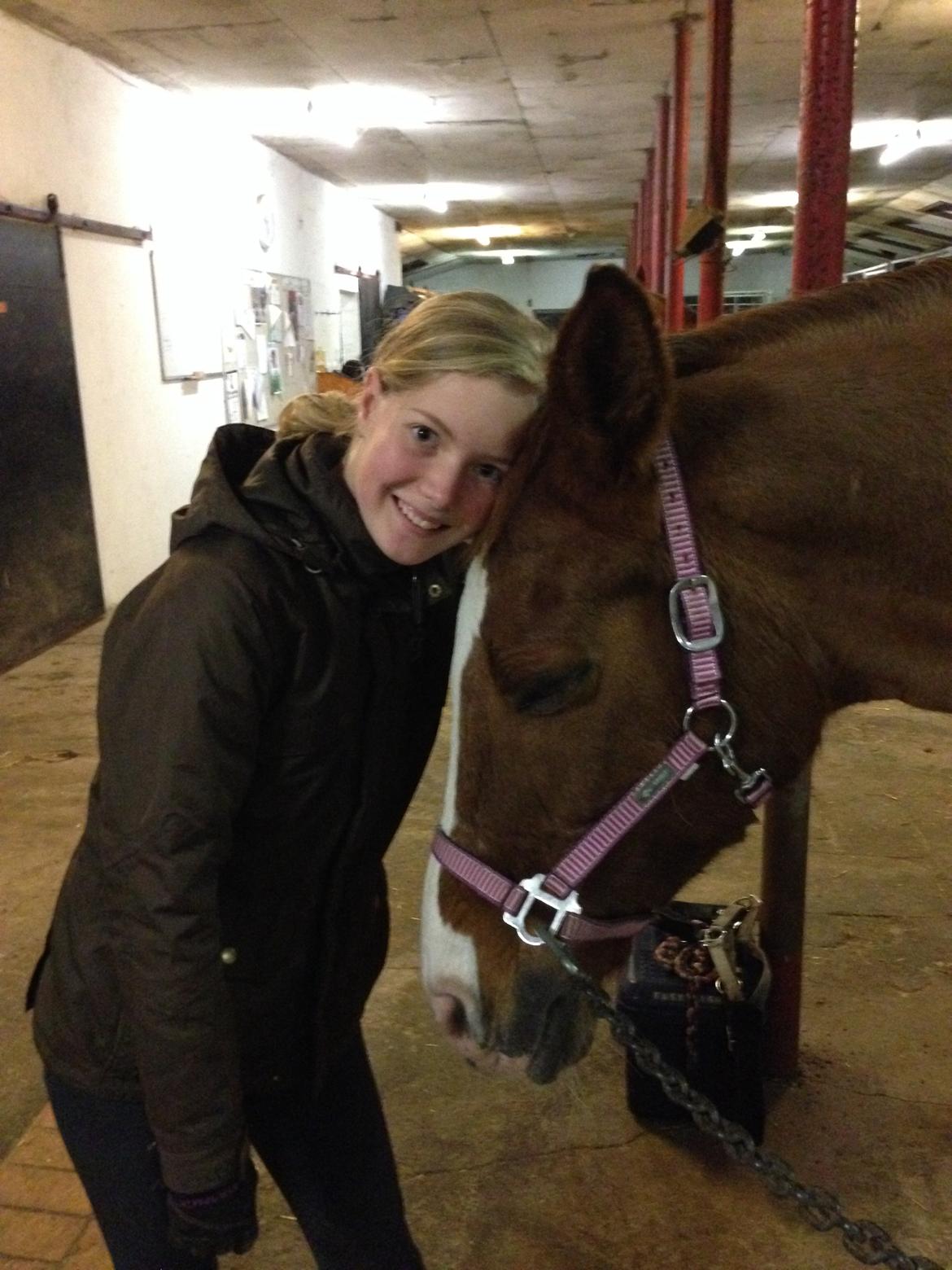 Anden særlig race Nete billede 12