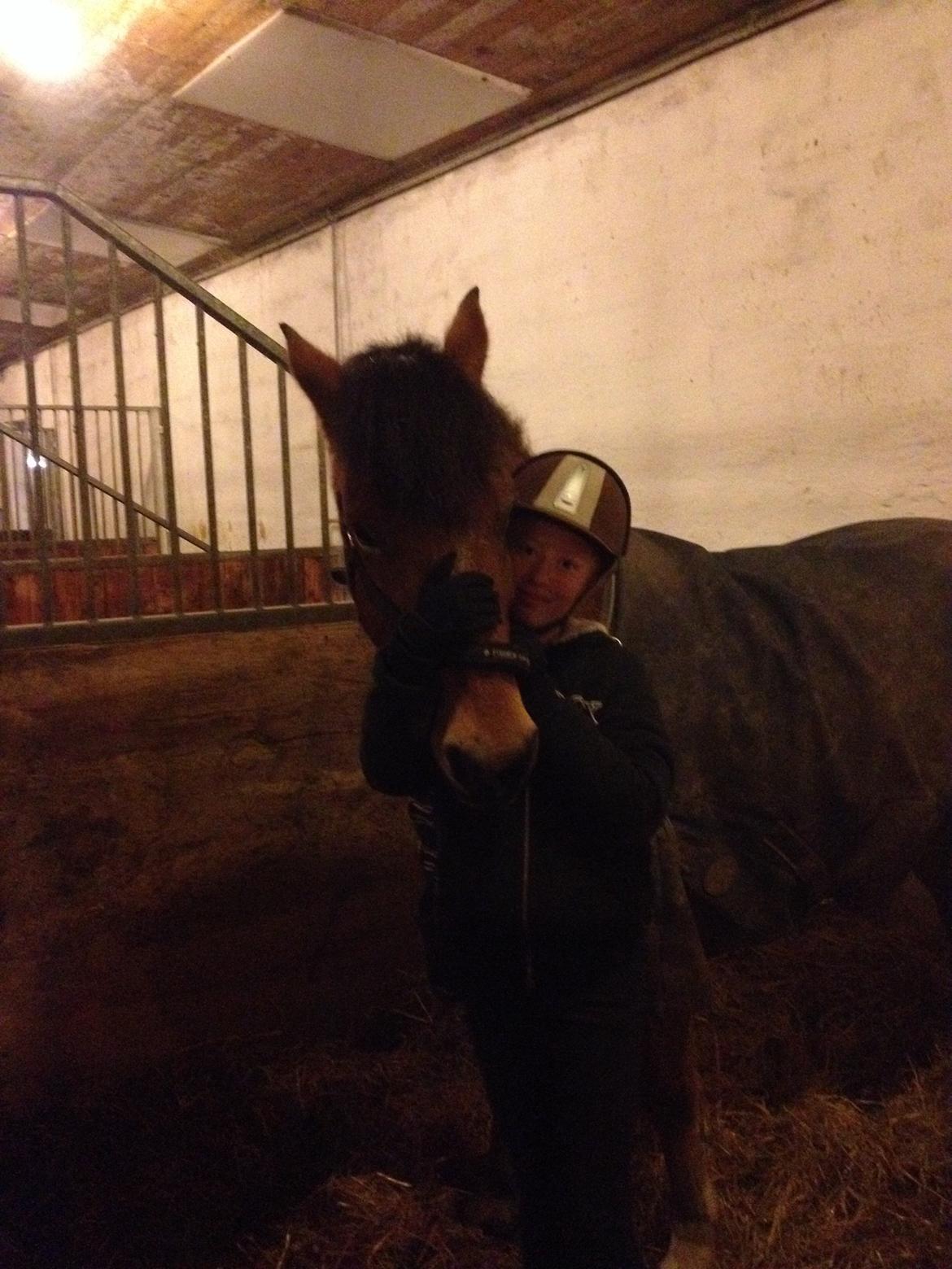 Connemara Trolderik billede 3