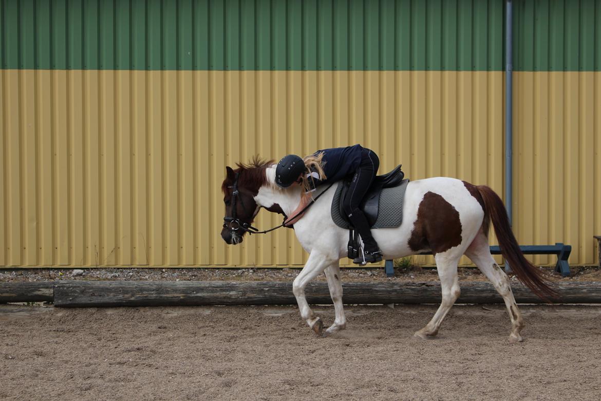 Anden særlig race Leopold - Tak for alt. <3 billede 17