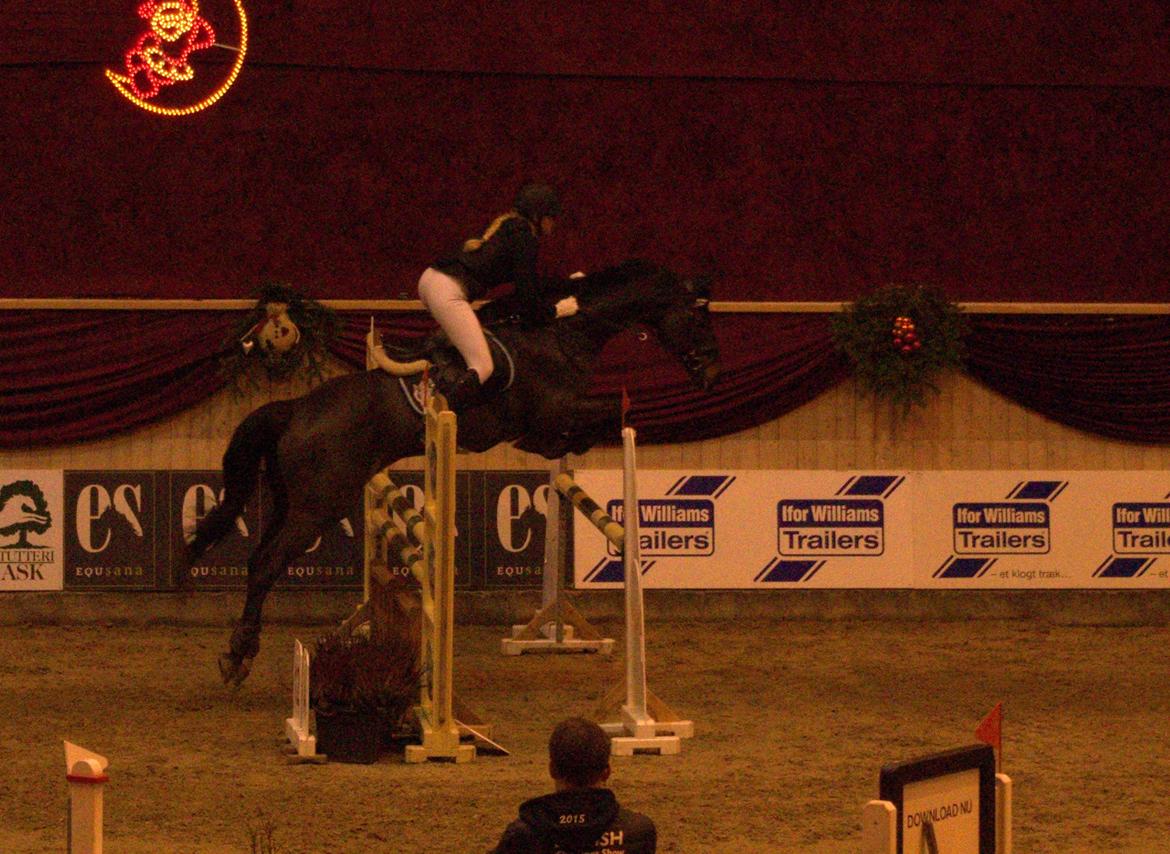 Dansk Varmblod Cocktail - Chritsmas Warm Up 2015 billede 38