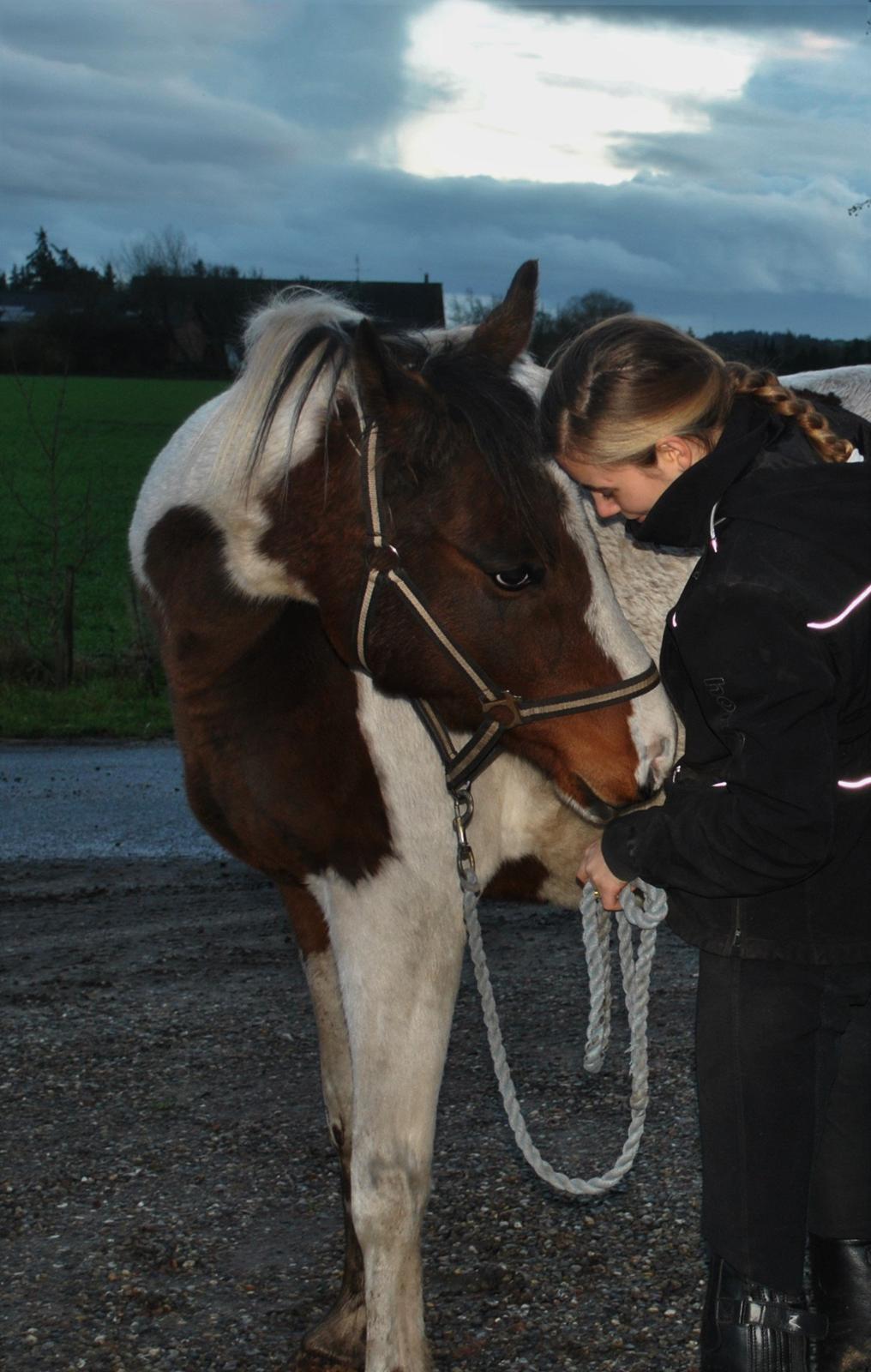Anden særlig race Bugatti - 25. 11. 2015 billede 4