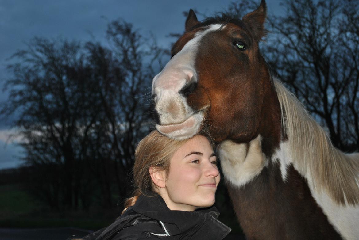 Anden særlig race Bugatti - 25. 11. 2015 billede 5