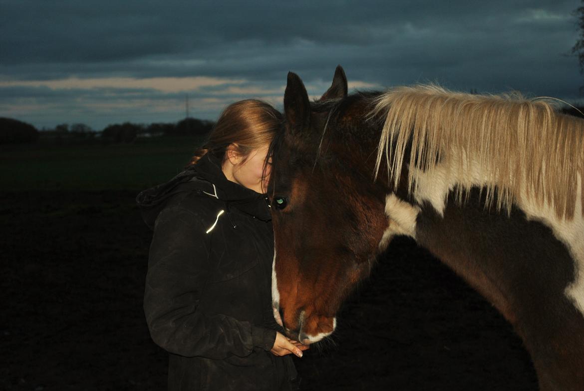 Anden særlig race Bugatti - 25. 11. 2015 billede 6