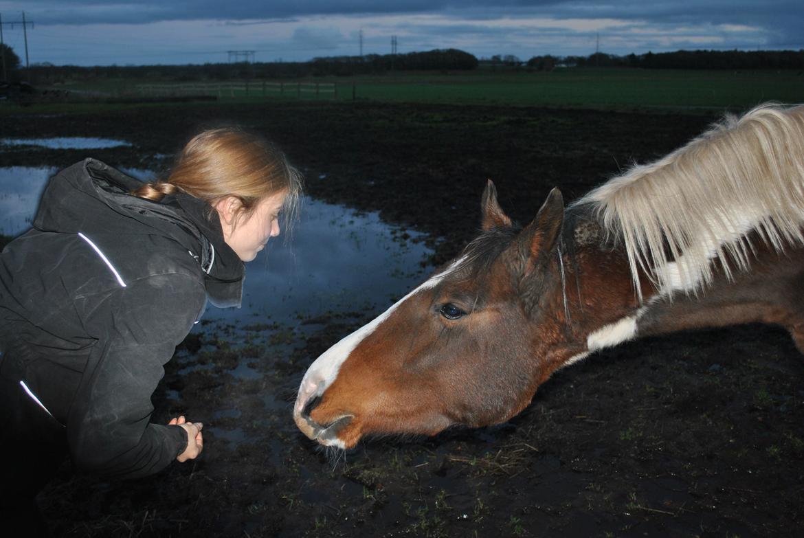 Anden særlig race Bugatti - 25. 11. 2015 billede 7