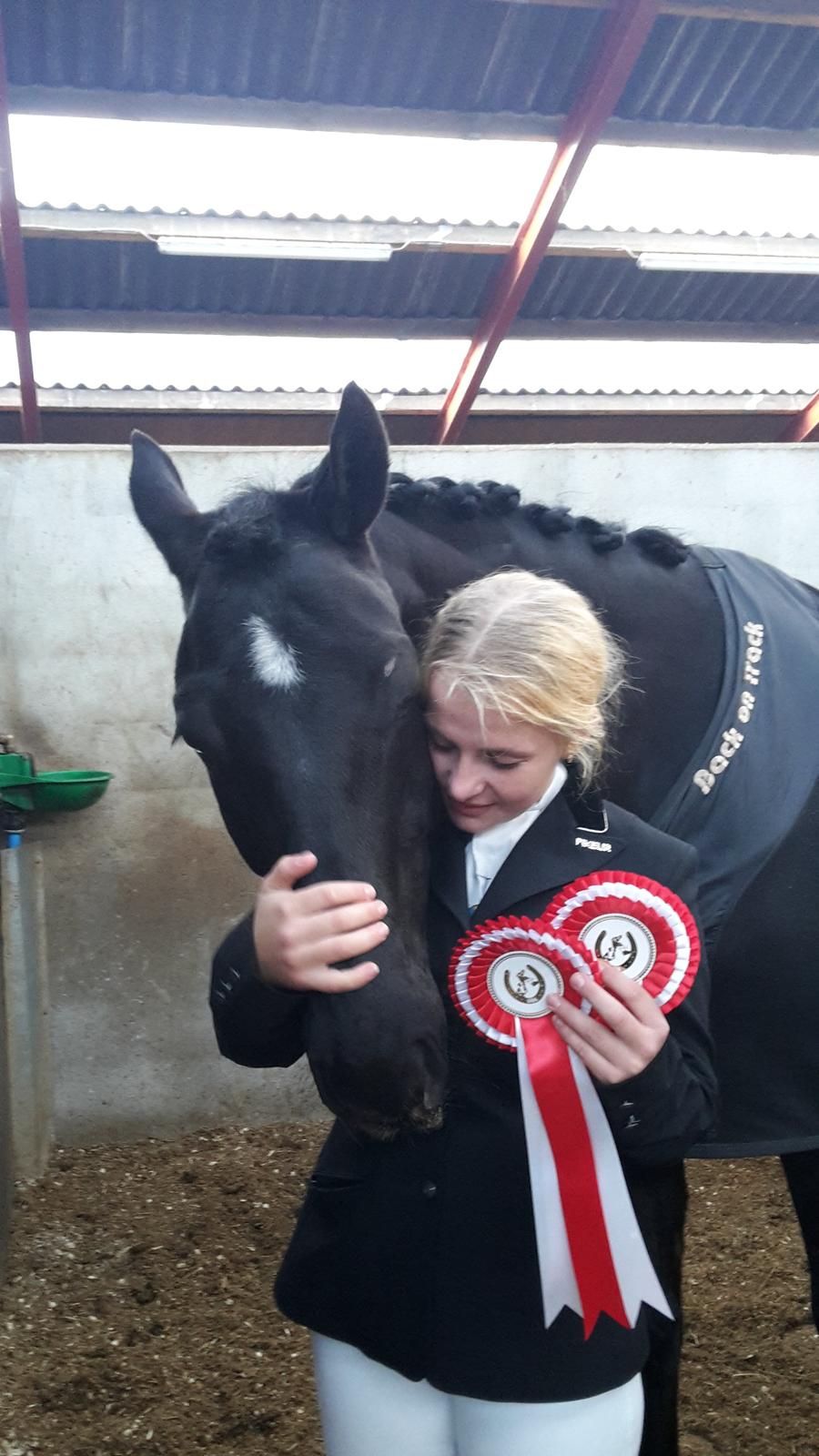 Trakehner Satori Birkedommergård - Den 15. november 2015. LC1 72,6% og LC3 73%. Første stævne efterskade. Næste gang LA!  billede 1