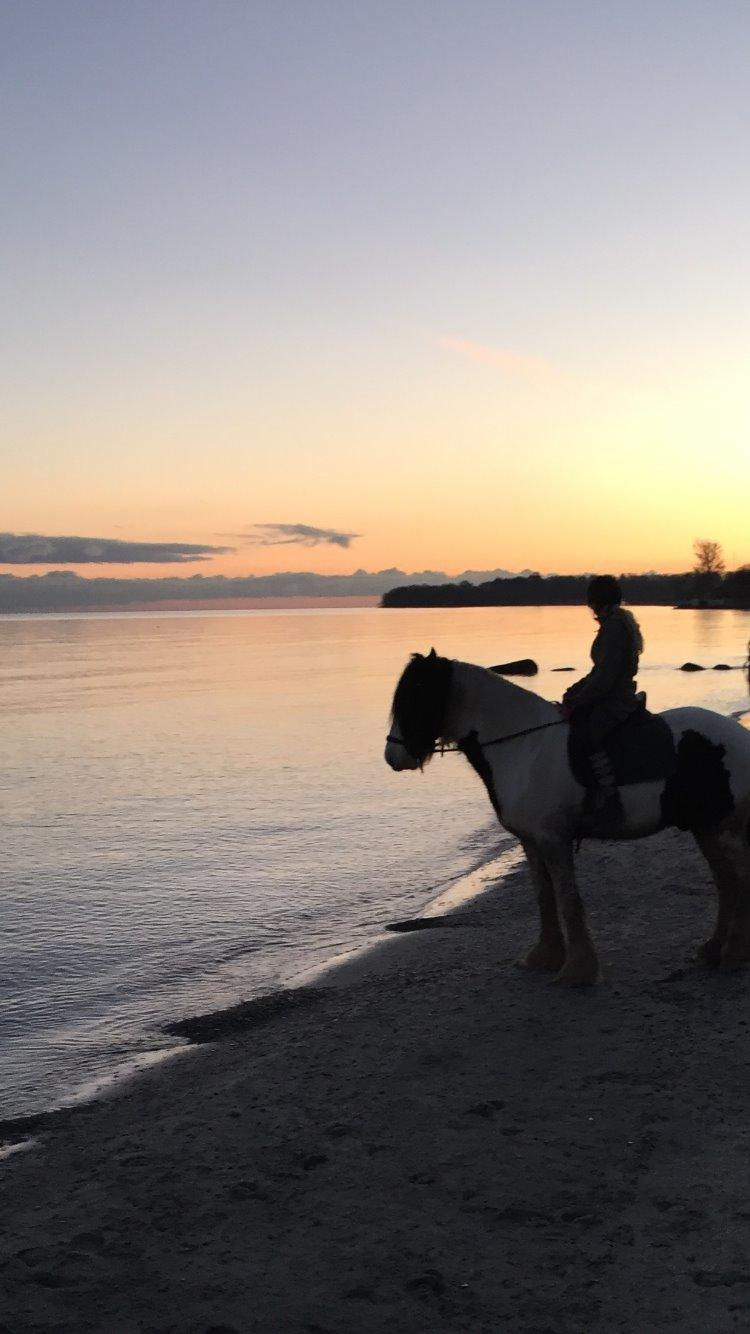 Tinker Kenzo's thumps up *kenny*  billede 10