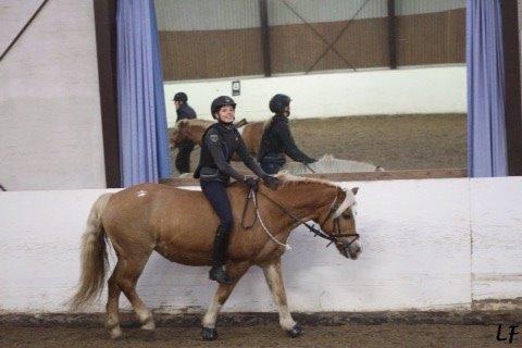 Haflinger Müsli (mullepigen-my Star) RIP:-( billede 7