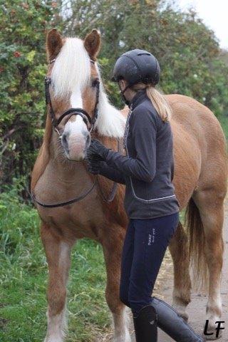 Haflinger Müsli (mullepigen-my Star) RIP:-( billede 19