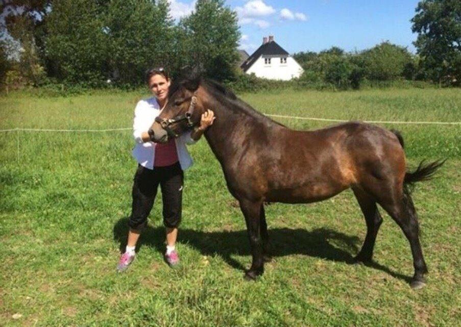 Dartmoor Anc-neu Loa billede 15