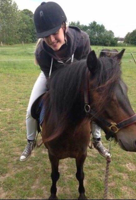 Dartmoor Anc-neu Loa billede 17