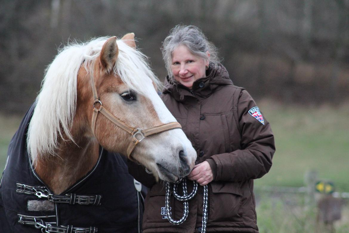 Haflinger Herkules kaldes Laffe himmel hest for altid savnet - Laffe og hans mor <3 (min mor) billede 35