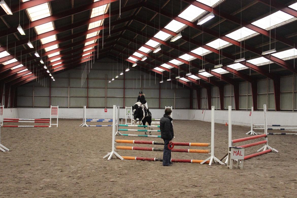 Tinker Charmer - Fra vores første springstævne - 60 cm. billede 18