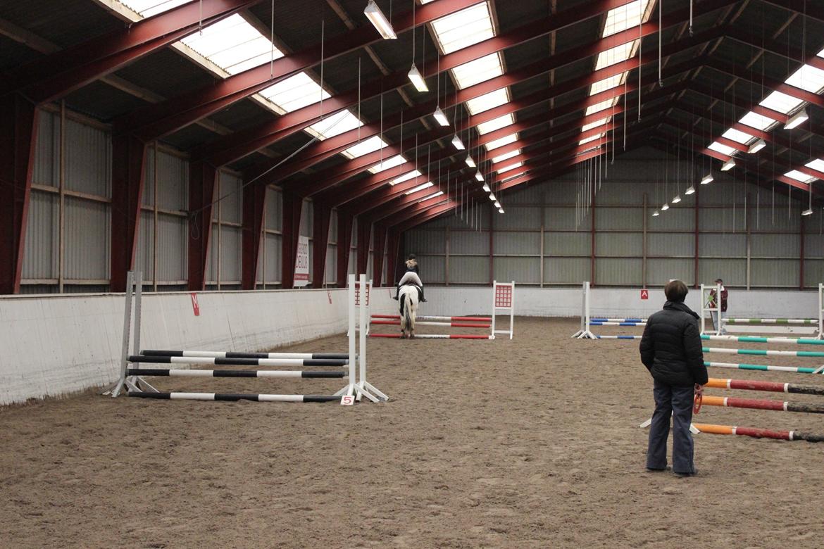 Tinker Charmer - 50 cm. billede 19