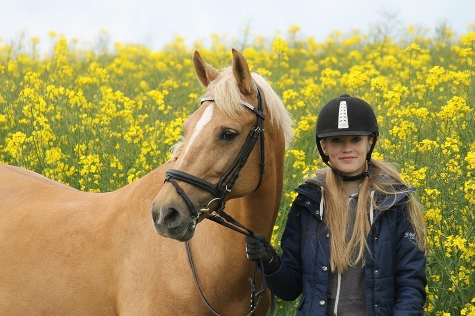 Palomino Klepholms Venus <3 - 31. Maj 2015, 1 år efter min konfirmation <3 - Foto: Mathilde Post Hansen billede 17