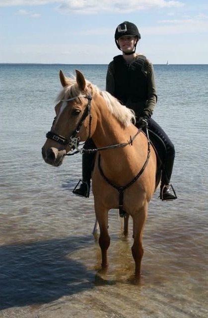 Palomino Klepholms Venus <3 - Vallensbæk Strand, April 2015 :) - Foto: Alnerte Sørensen billede 20