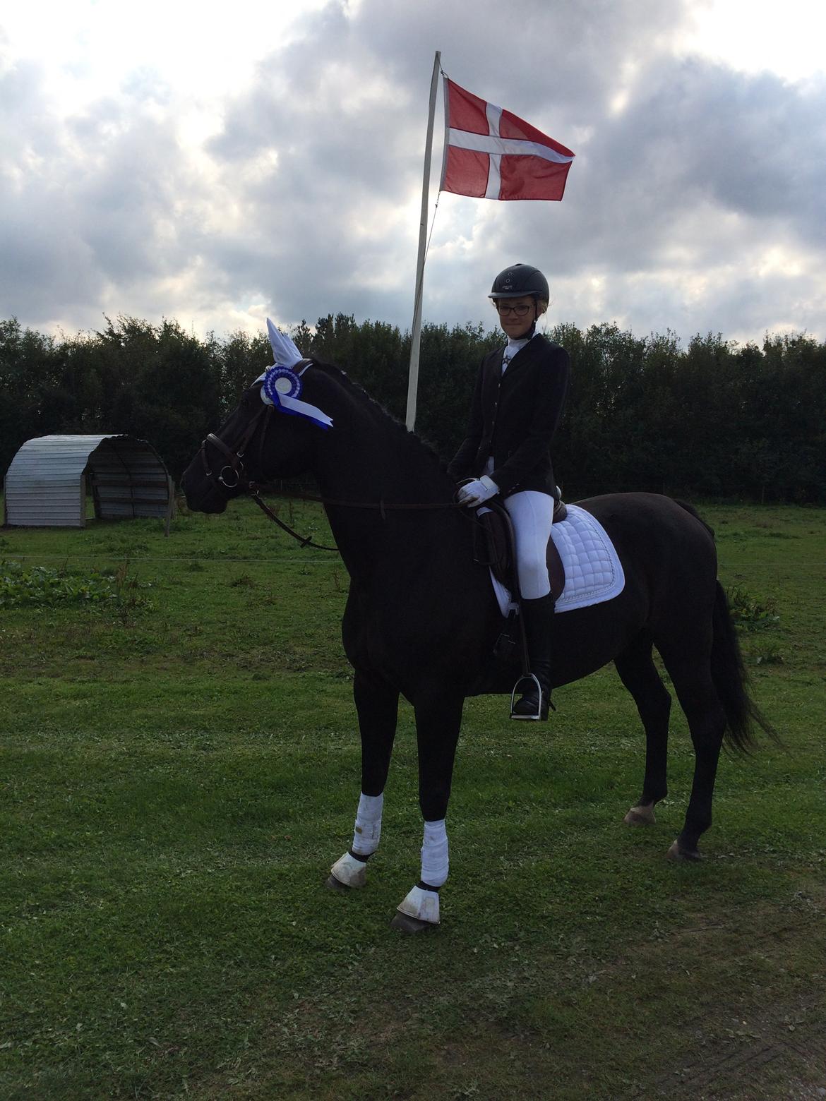 Anden særlig race Vega - Min stjerne hest, som er blevet nummer 2. Fotograf: mor billede 5