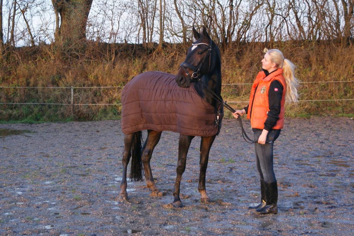 Traver Alica Gold  billede 11