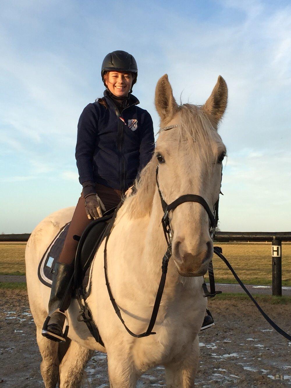 Palomino Sun Dancer billede 41