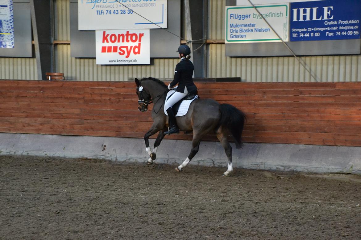 DSP Patrik af hvarre billede 1