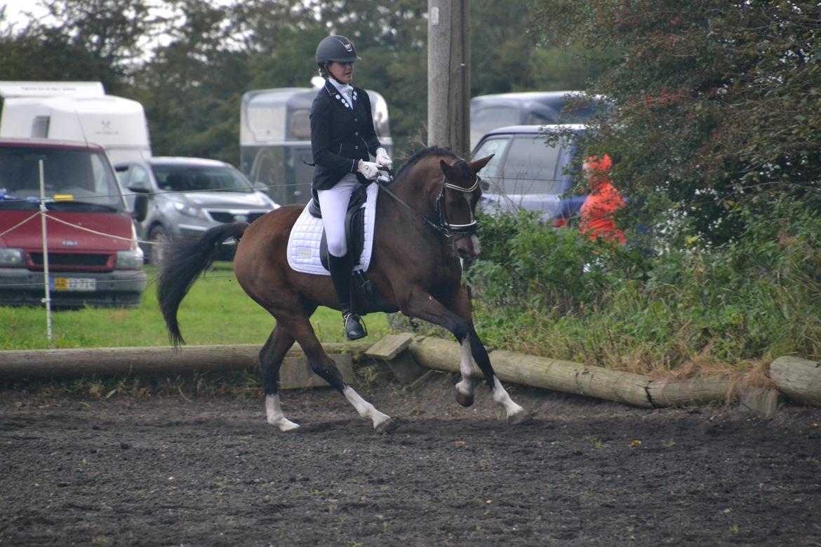 DSP Patrik af hvarre billede 4