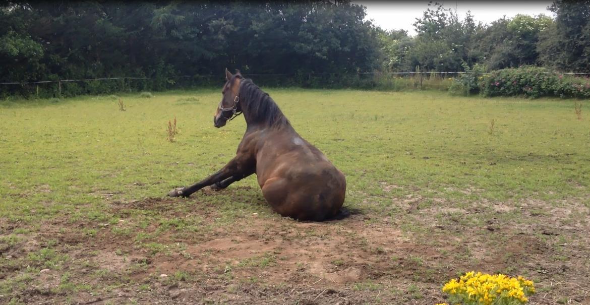 Traver Garcon McQueen - knubbe, knubbe, knubbe... billede 4