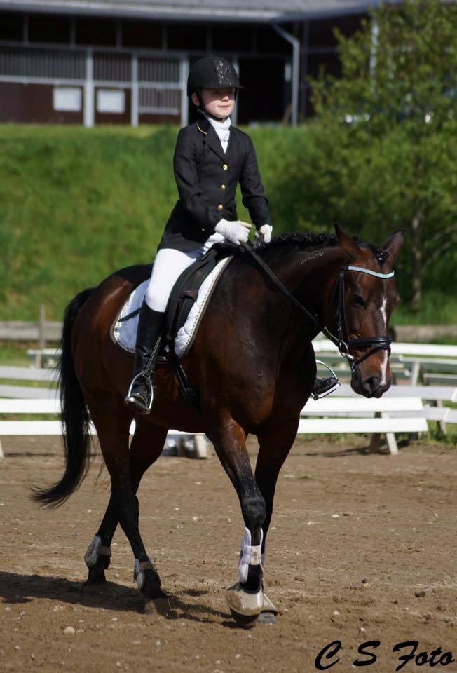 Traver Garcon McQueen - fotograf: C S foto billede 5