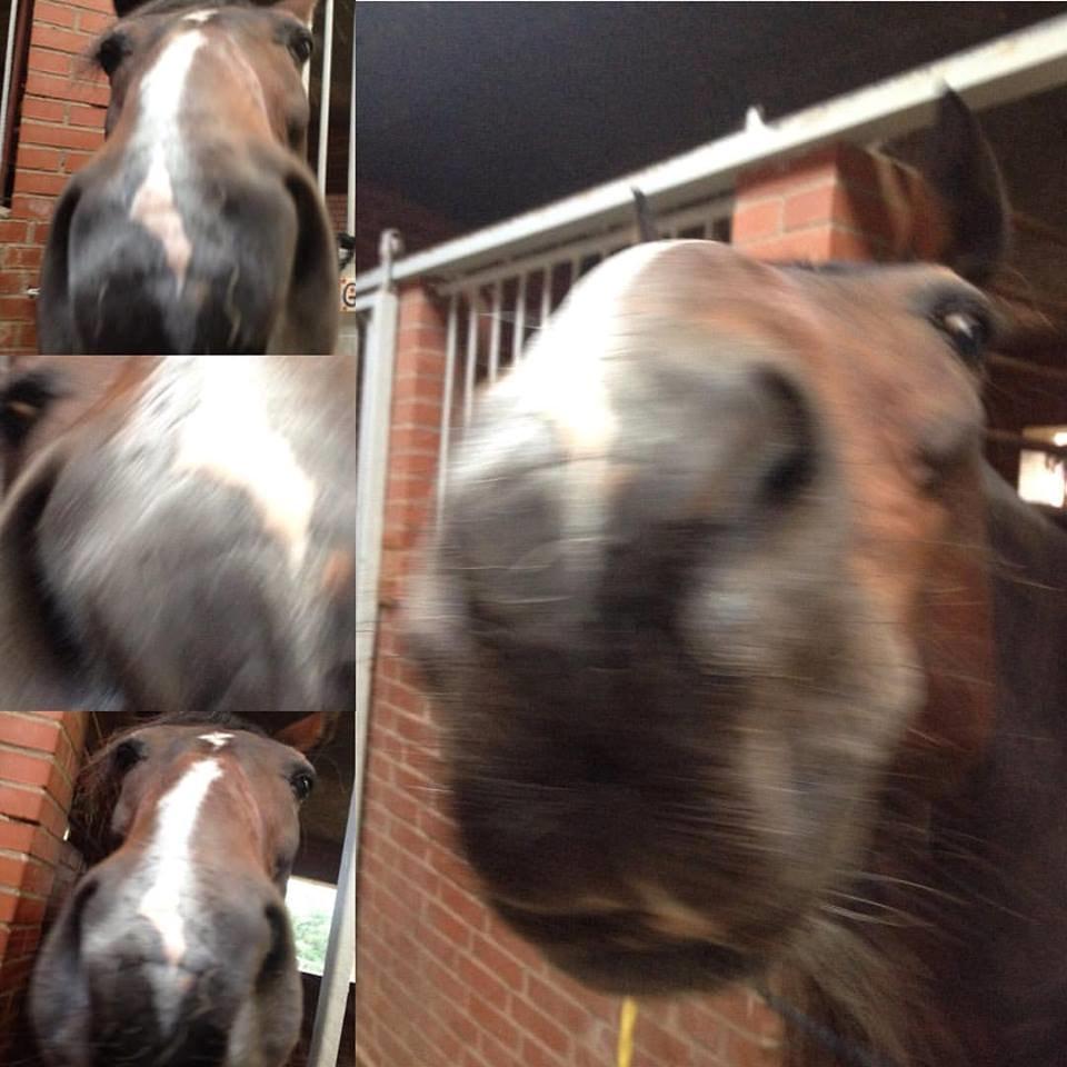 Traver Garcon McQueen - titebøøø! billede 7