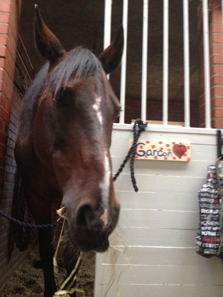 Traver Garcon McQueen billede 9