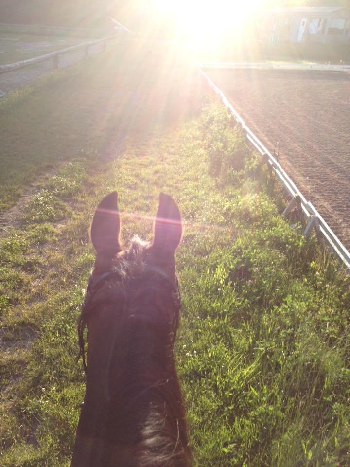 Traver Garcon McQueen billede 10