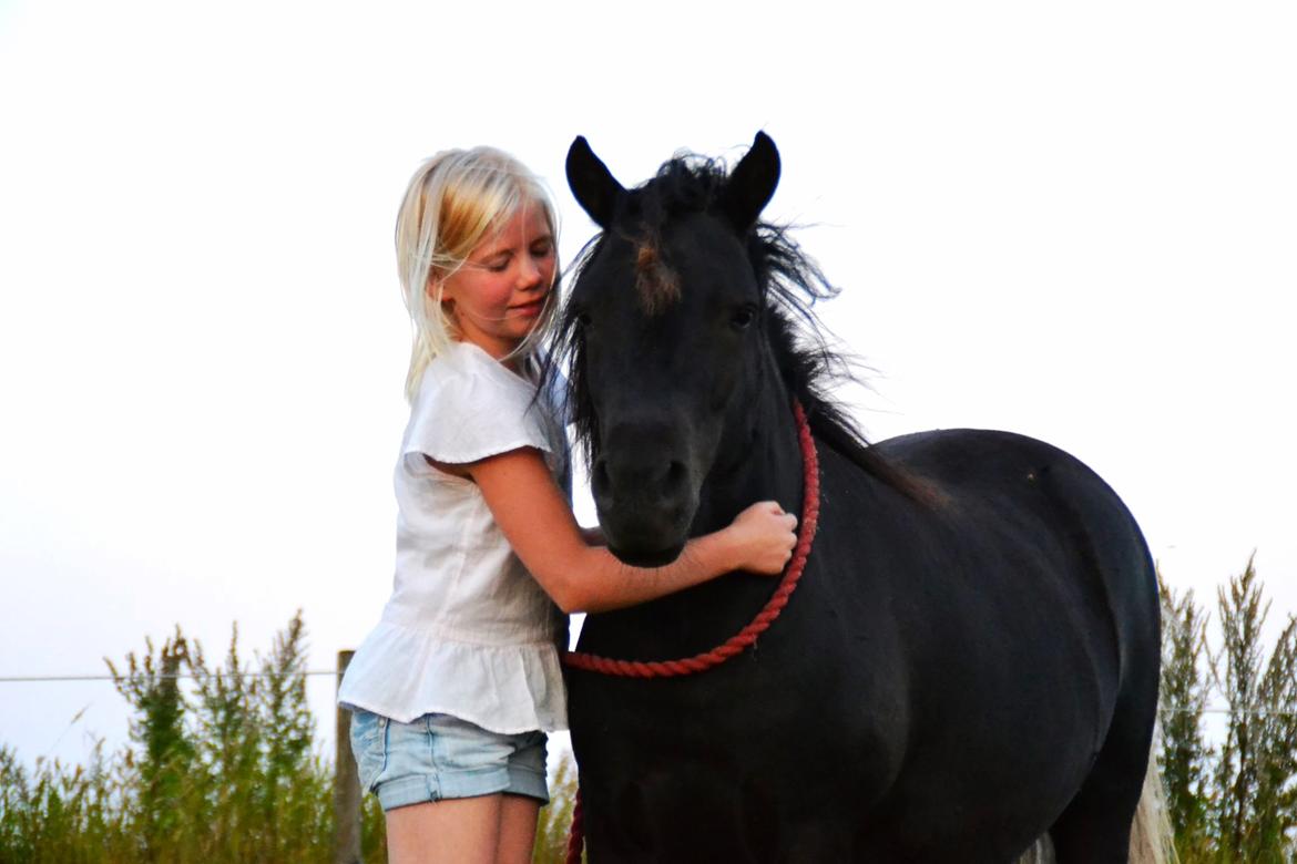 Anden særlig race Gizmo. (førhen Sky) billede 1
