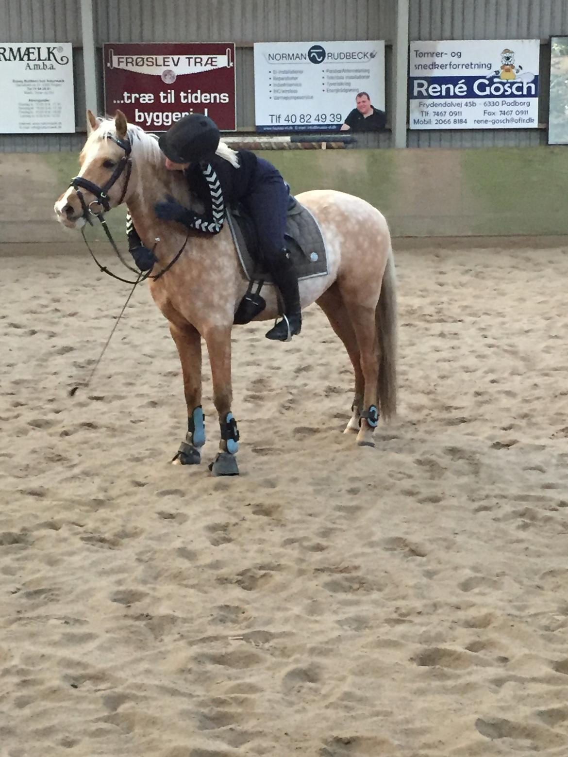 Palomino Vestervangs betterøv billede 32